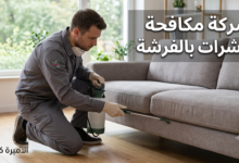 شركة مكافحة حشرات بالفرشة