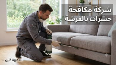 شركة مكافحة حشرات بالفرشة